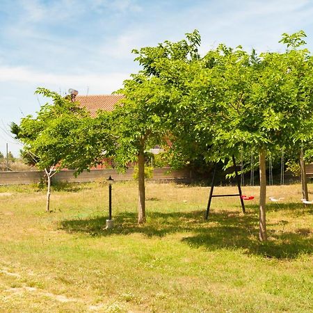 Olives Estate Apartments Grande Preveza Exteriör bild