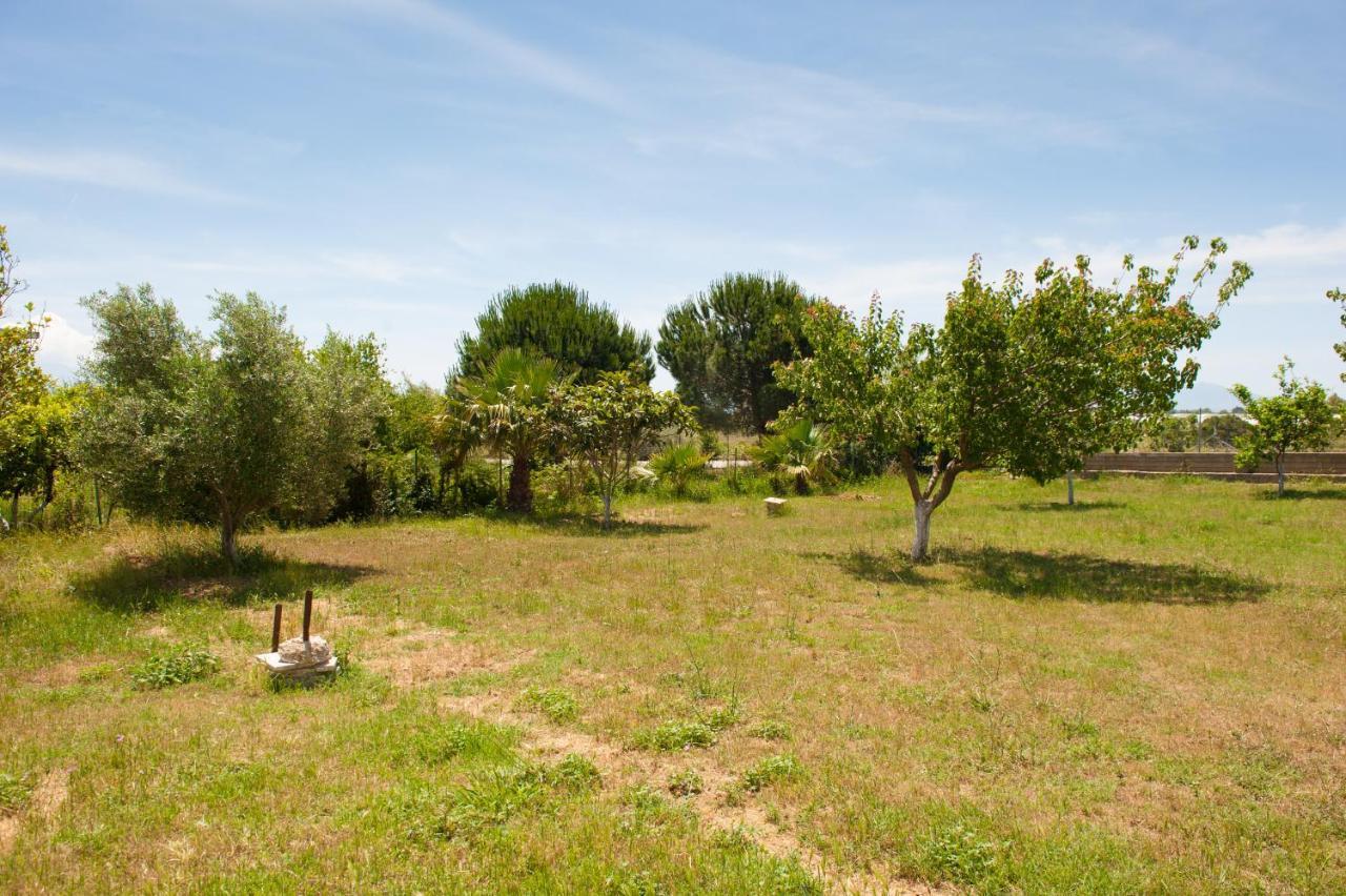 Olives Estate Apartments Grande Preveza Exteriör bild
